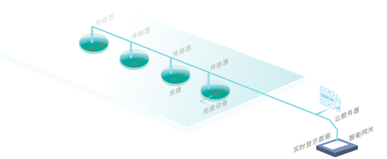 水产养殖在线监测系统